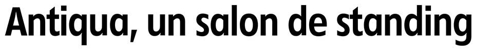 salon antiquaires Châtel-Guyon auvergne titre article journal La Montagne 30 avril 2019